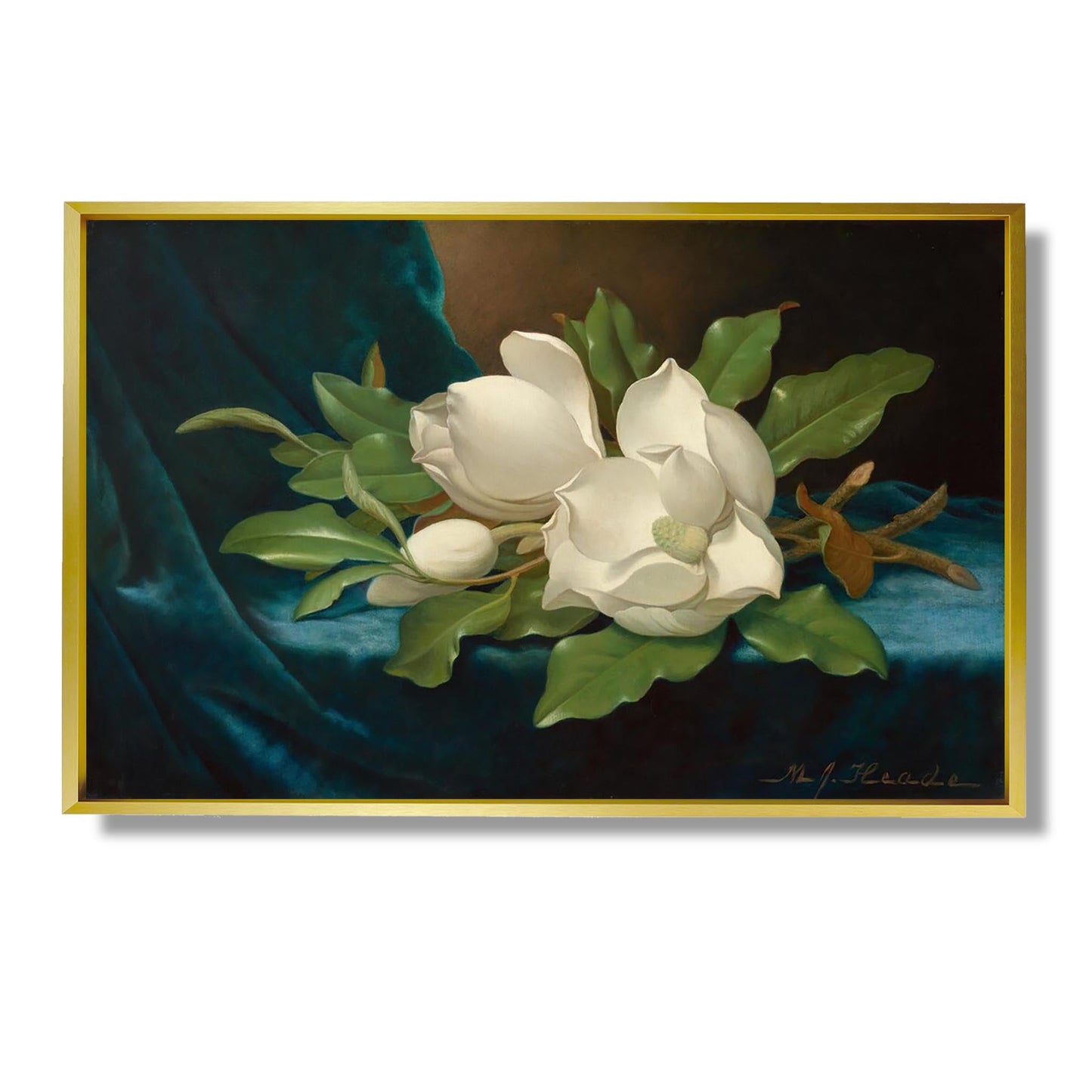 Giant Magnolias on a Blue Velvet Cloth - Martin Johnson Heade