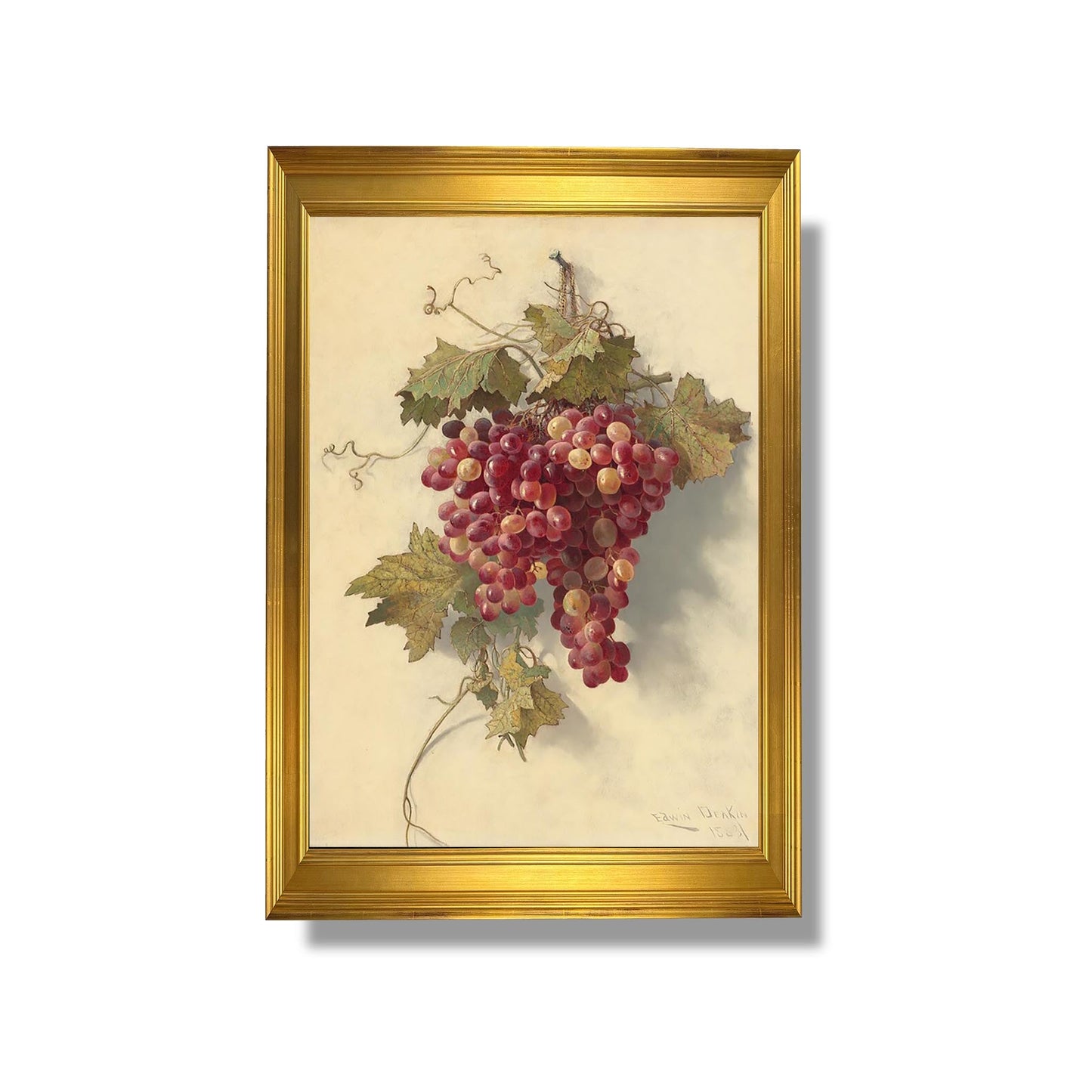 Grapes Against White Wall - Edwin Deakin