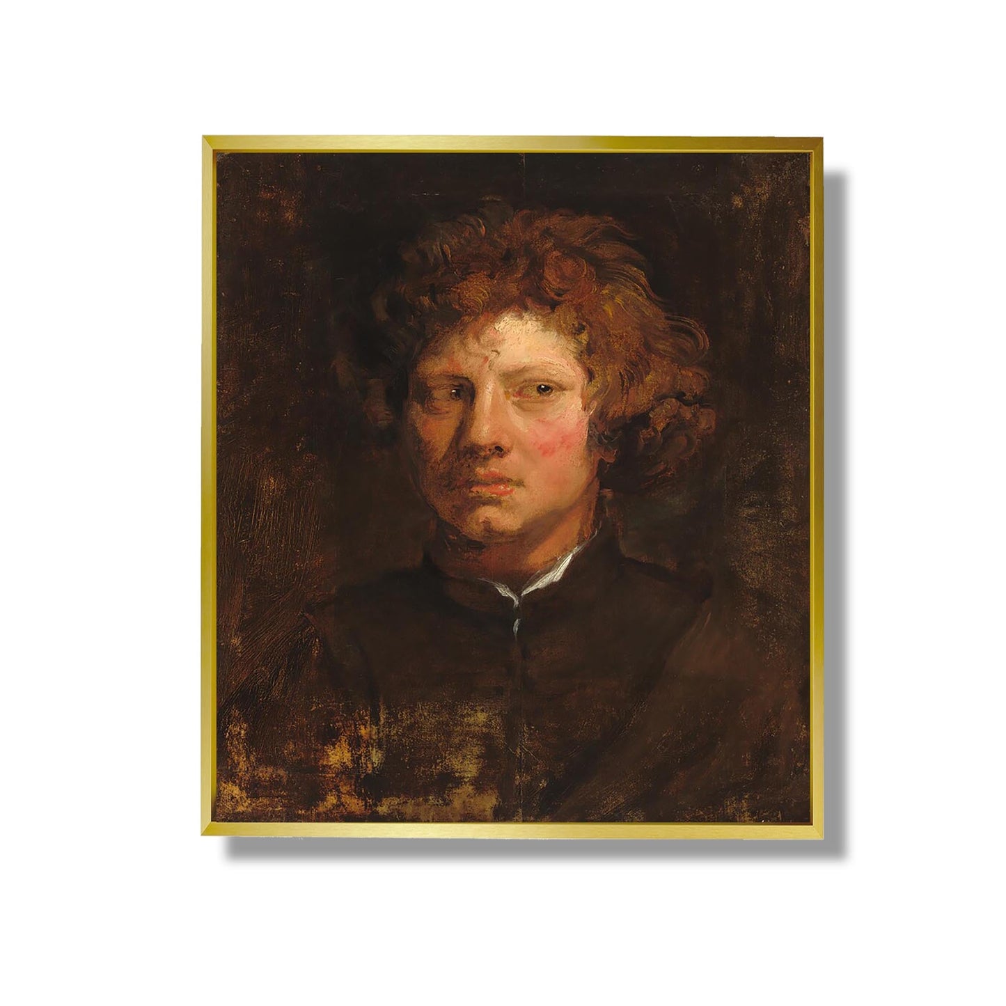 Head of a Young Man, - Sir Anthony van Dyck