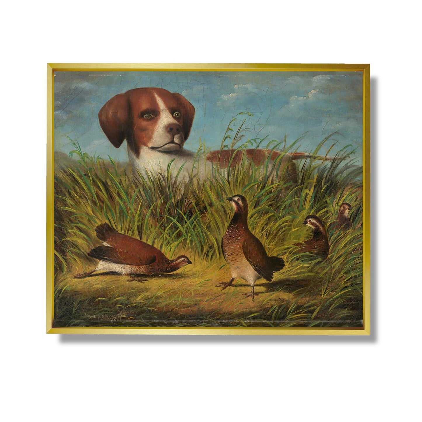 On Point - D.G. Stouter