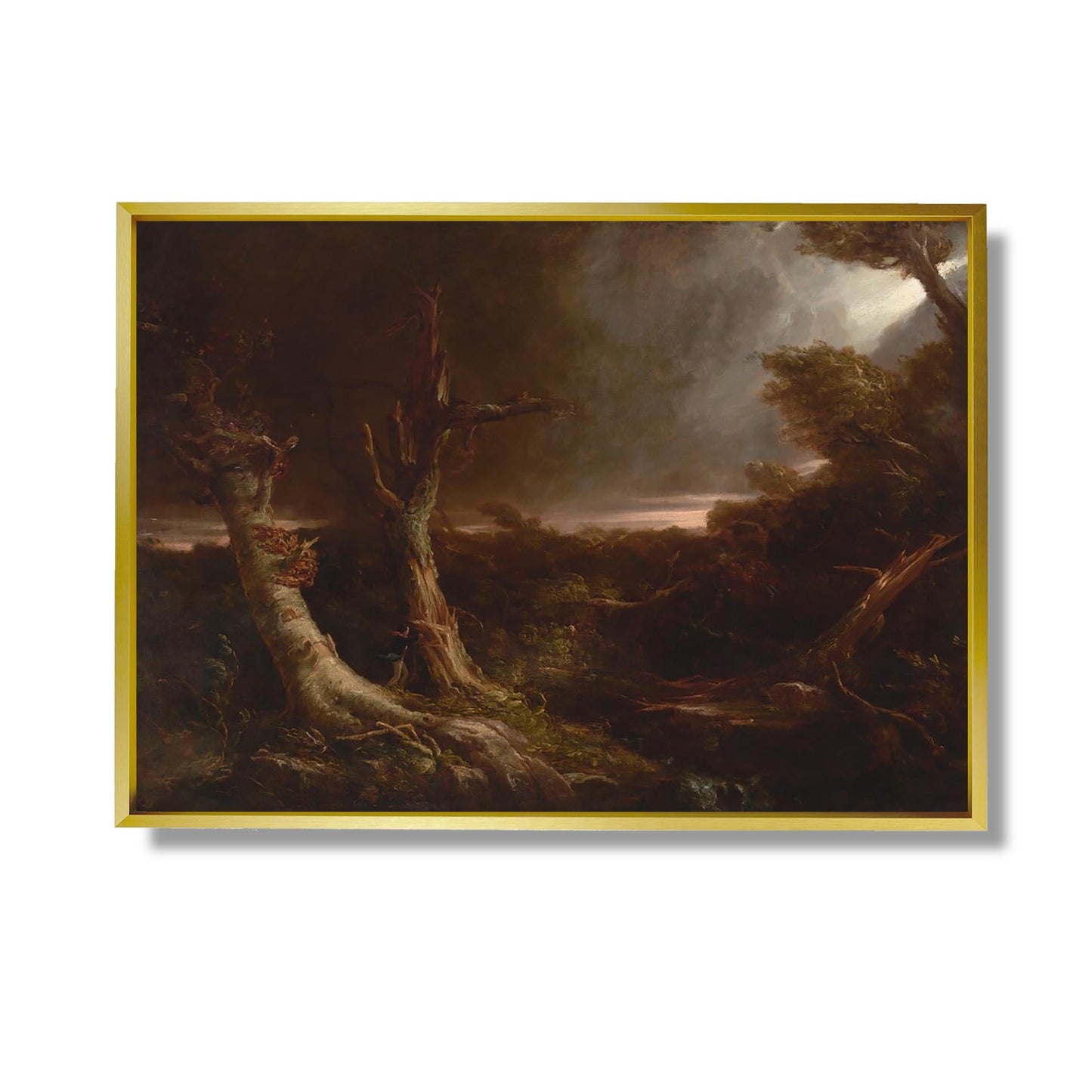 Tornado in an American Forest - Thomas Cole