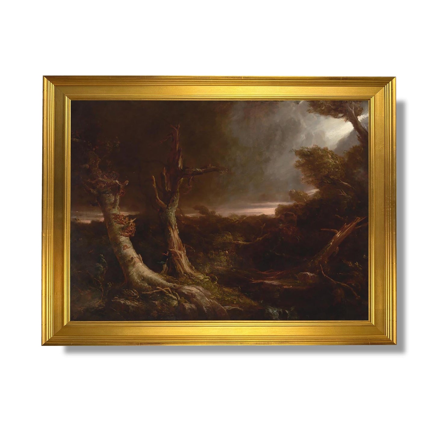 Tornado in an American Forest - Thomas Cole