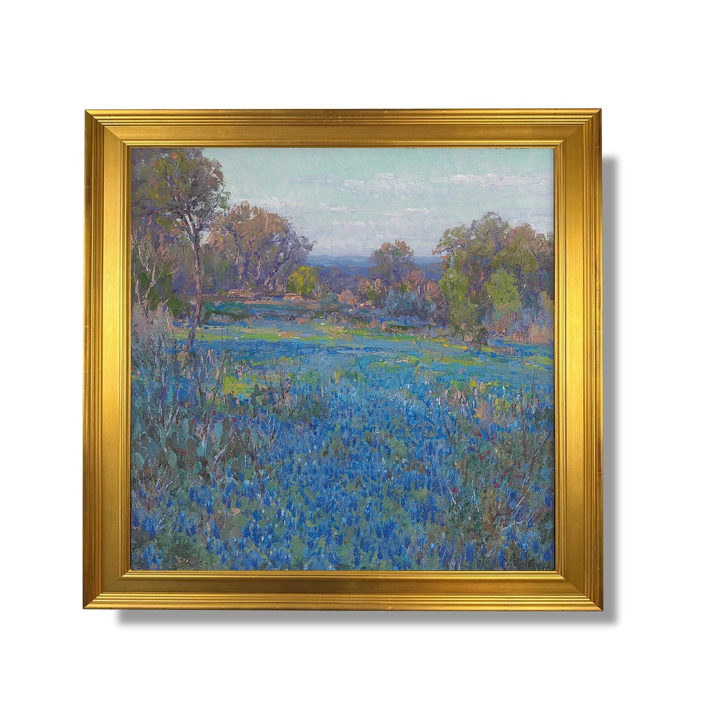 Un champ de Blue Bonnets, soleil de fin d'après-midi - Julian Onderdonk