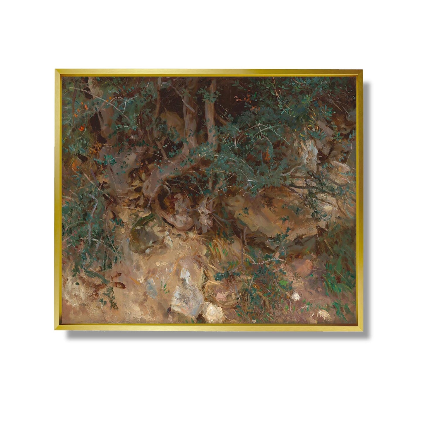 Wurzeln eines wilden Olivenbaums, Valldemosa, Mallorca, - John Singer Sargent