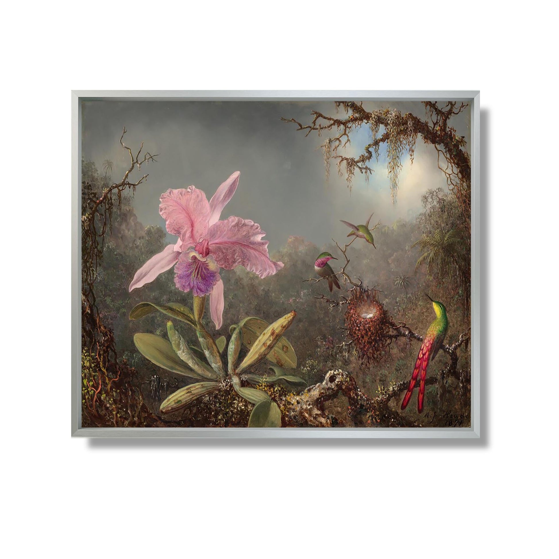 Cattleya Orchid and Three Hummingbirds - Martin Johnson Heade - Reproduction Peinture