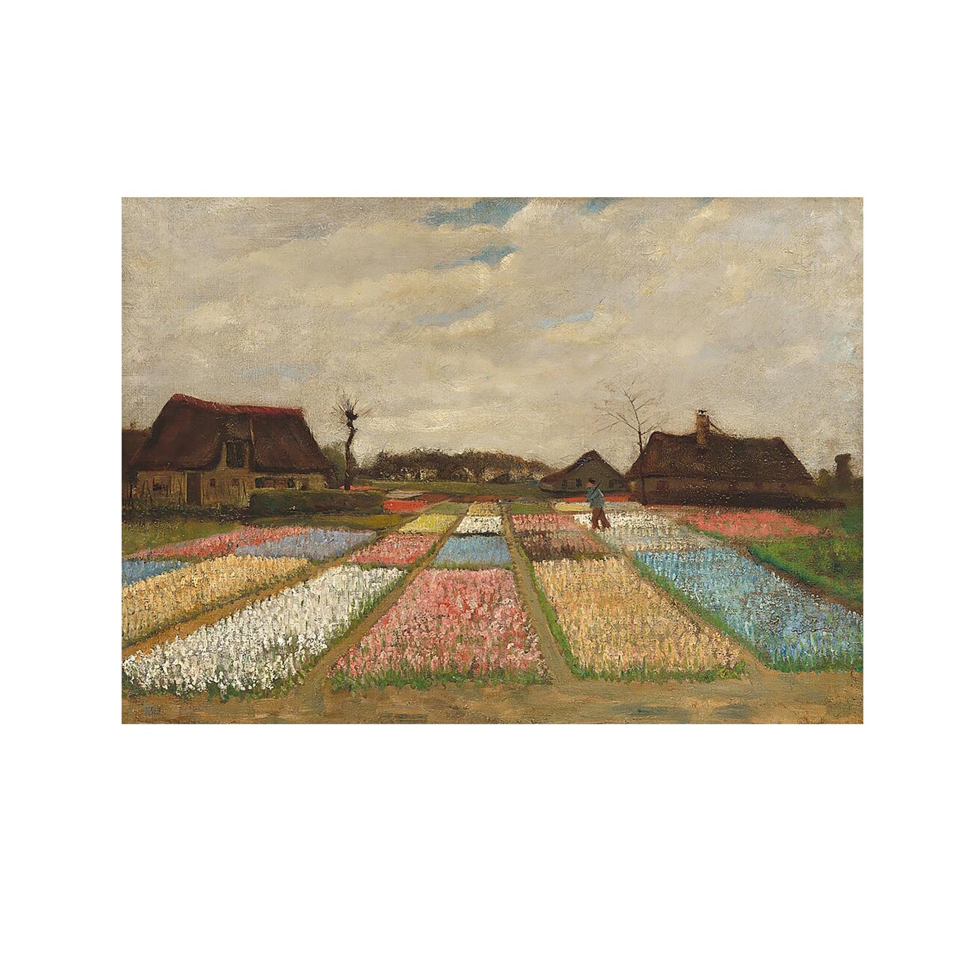 Champs de Fleurs en Hollande - Vincent Van Gogh - Reproduction Peinture