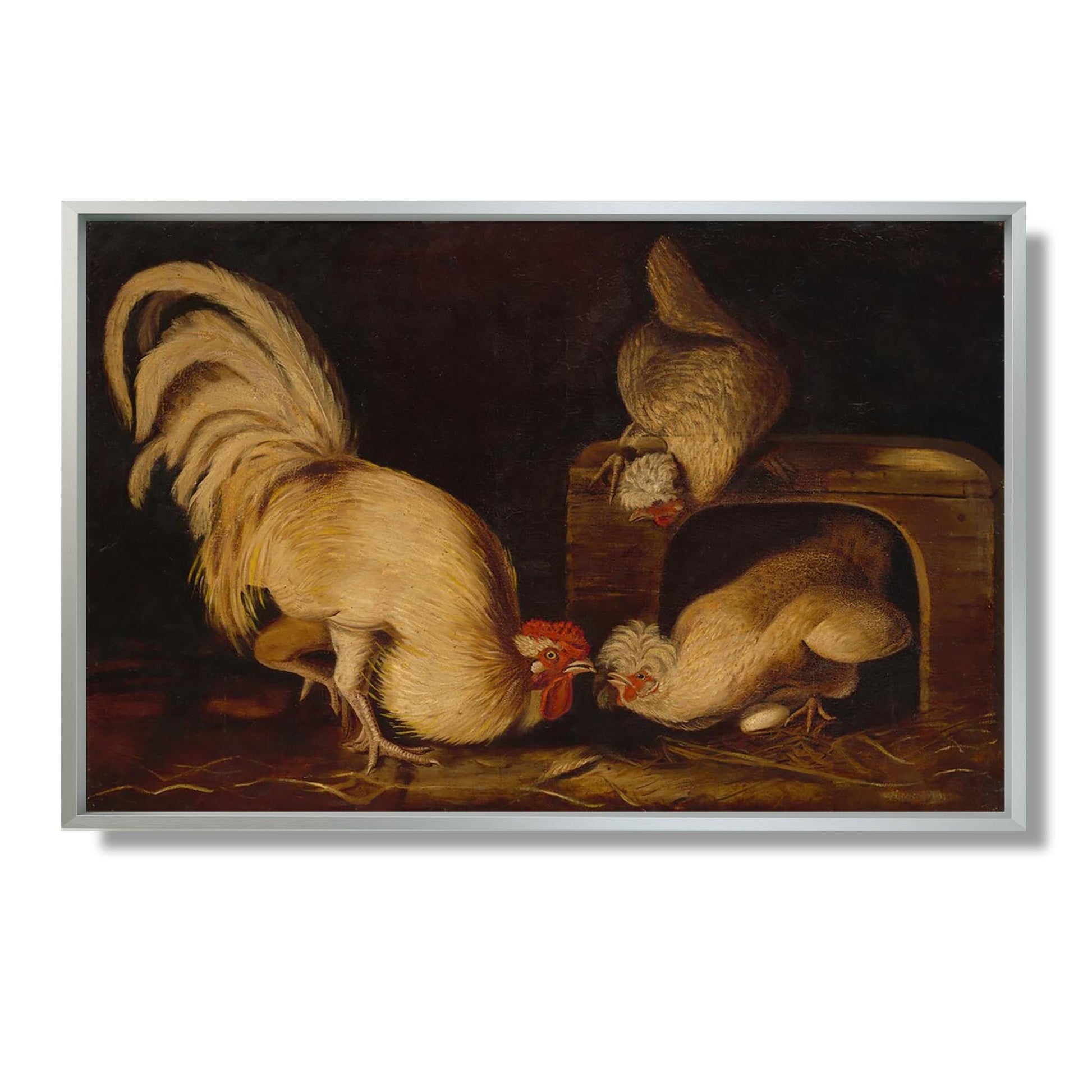 Farmyard Fowls - John James Audubon - Reproduction Peinture