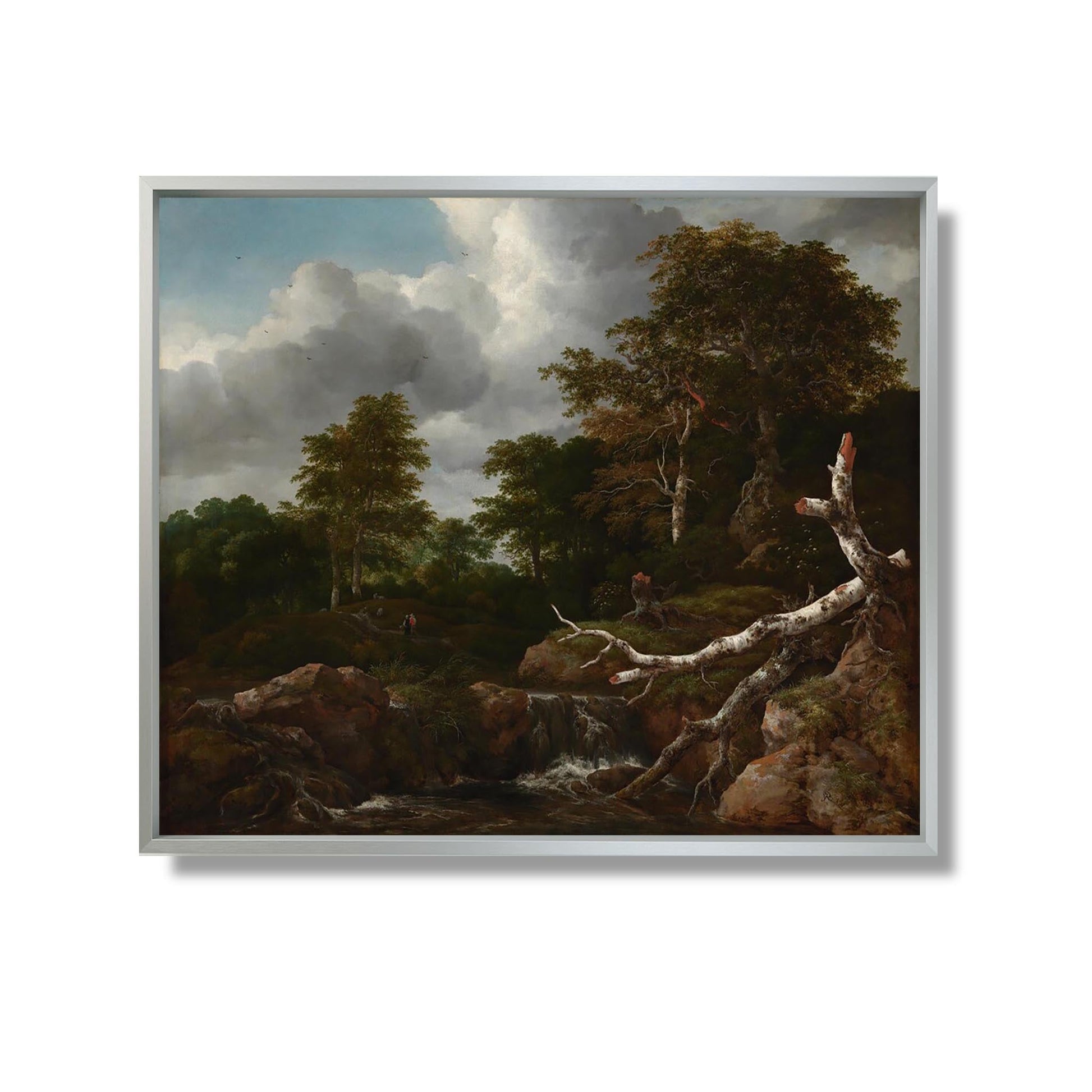 Forest Scene - Jacob van Ruisdael - Reproduction Peinture