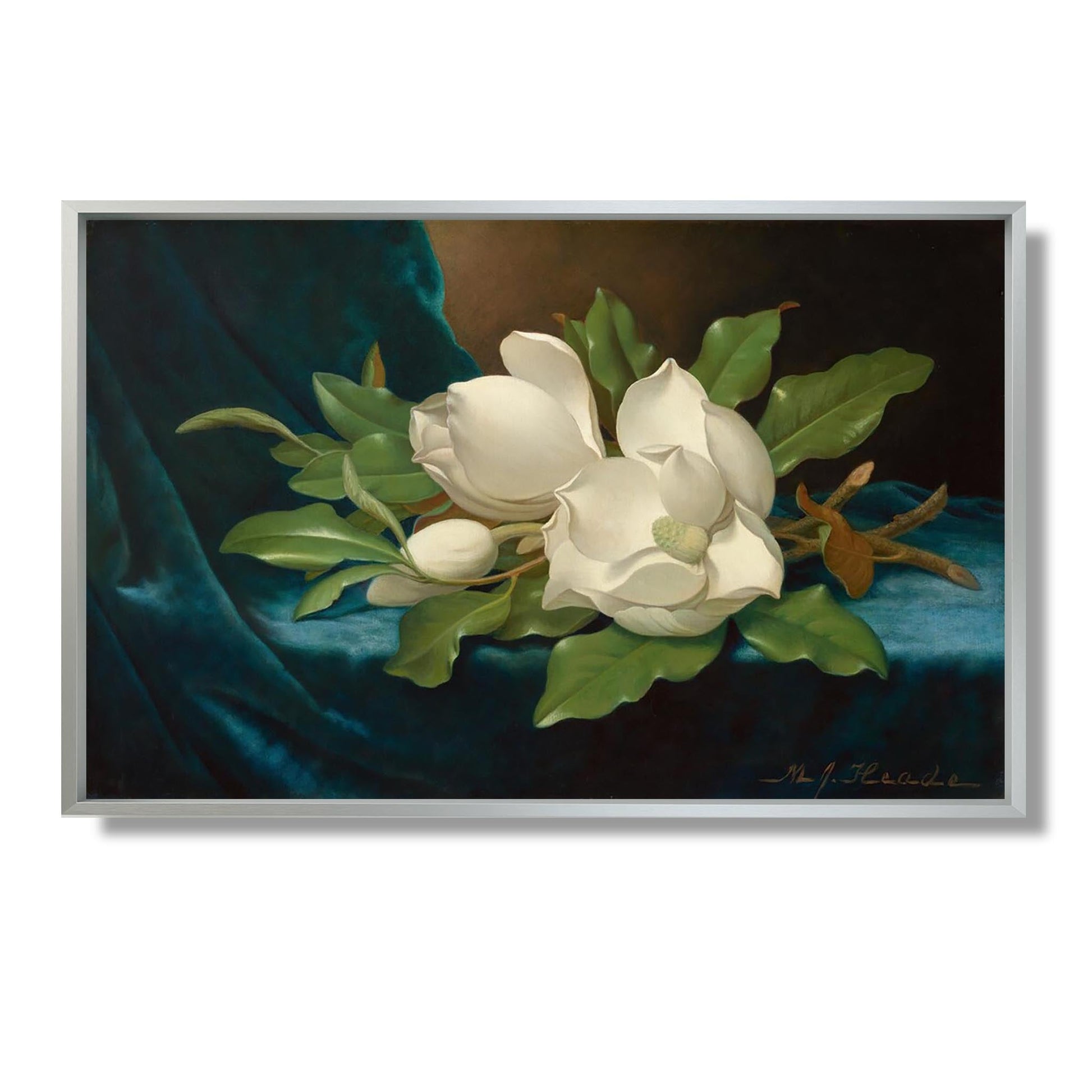 Giant Magnolias on a Blue Velvet Cloth - Martin Johnson Heade - Reproduction Peinture