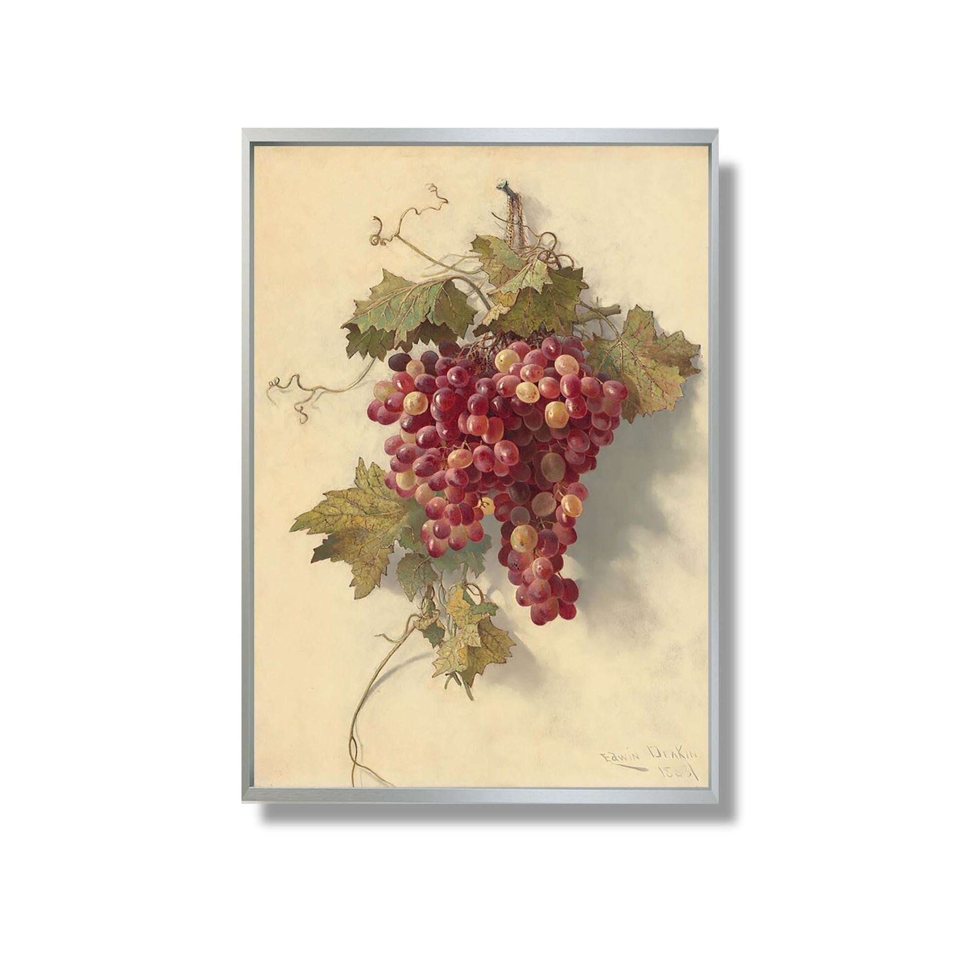 Grapes Against White Wall - Edwin Deakin - Reproduction Peinture