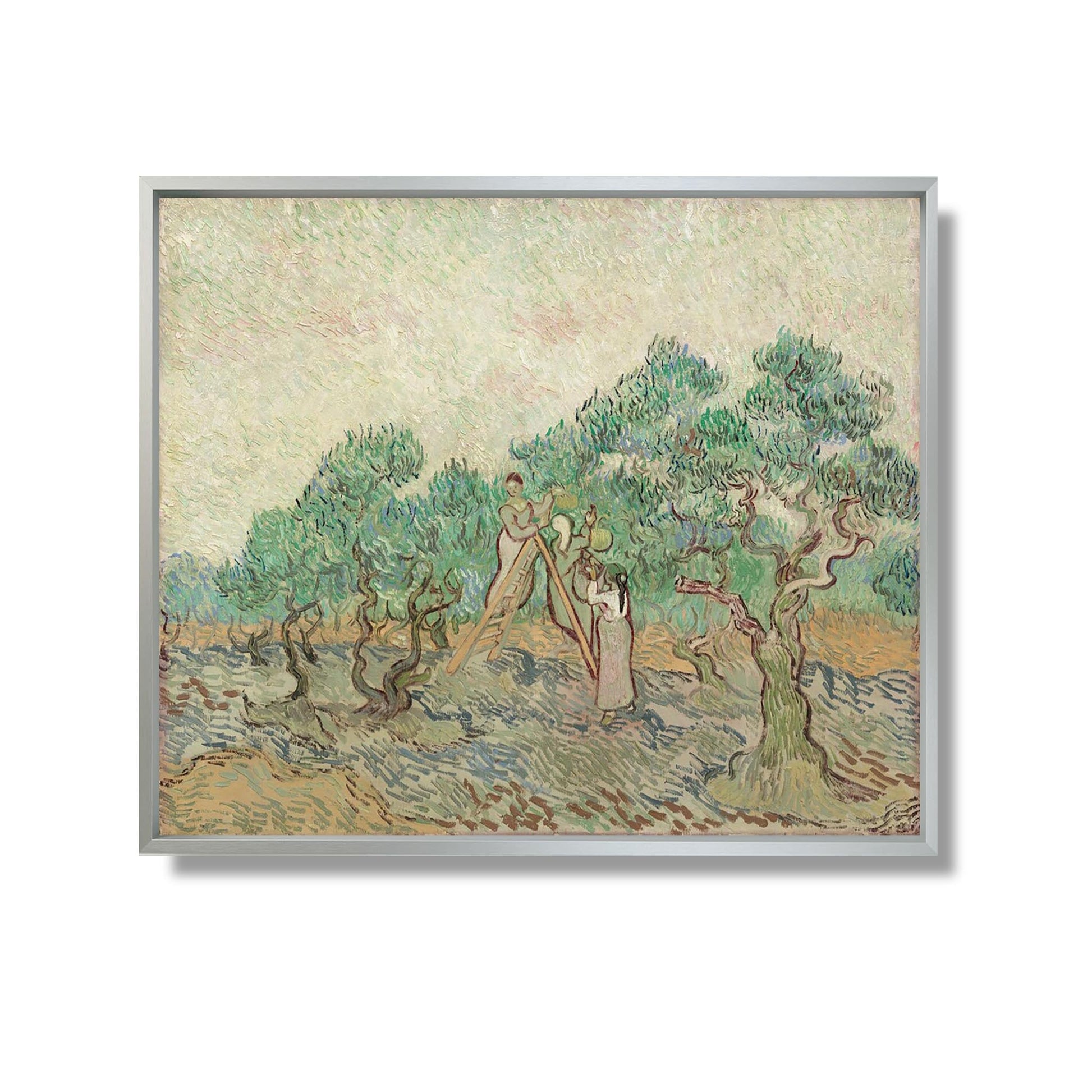 L'Oliveraie - Vincent Van Gogh - Reproduction Peinture