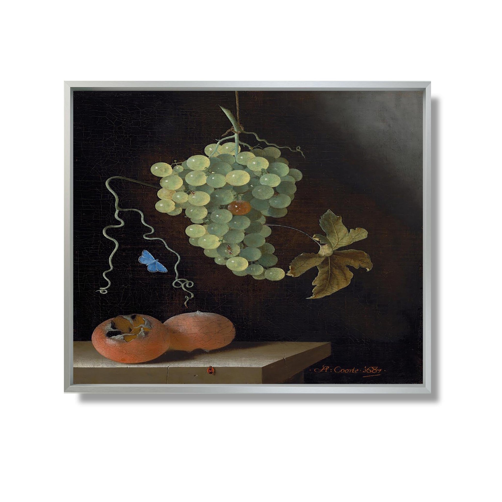 Still Life with a Hanging Bunch of Grapes, Two Medlars, and a Butterfly - Adriaen Coorte - Reproduction Peinture