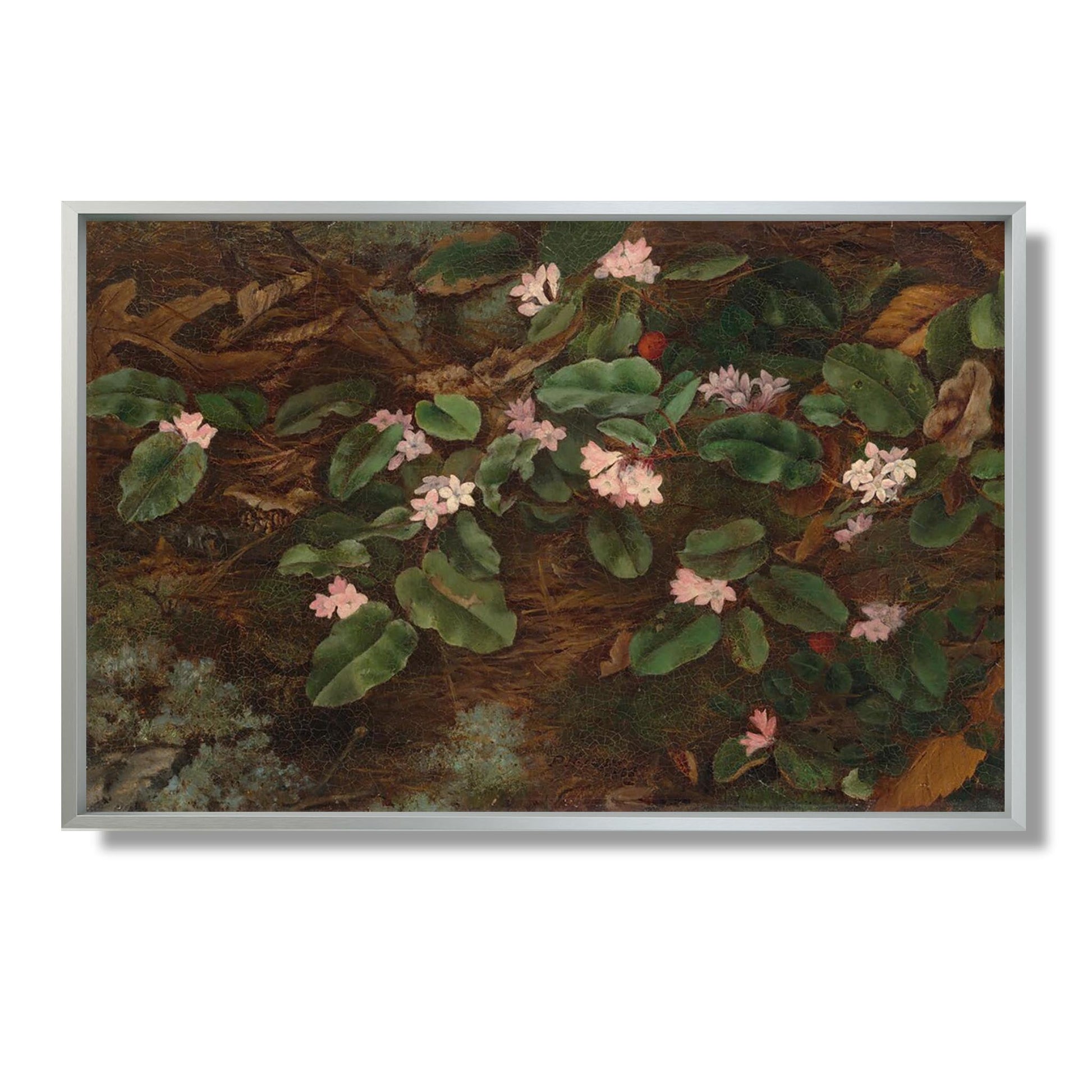 Trailing Arbutus - Fidelia Bridges - Reproduction Peinture