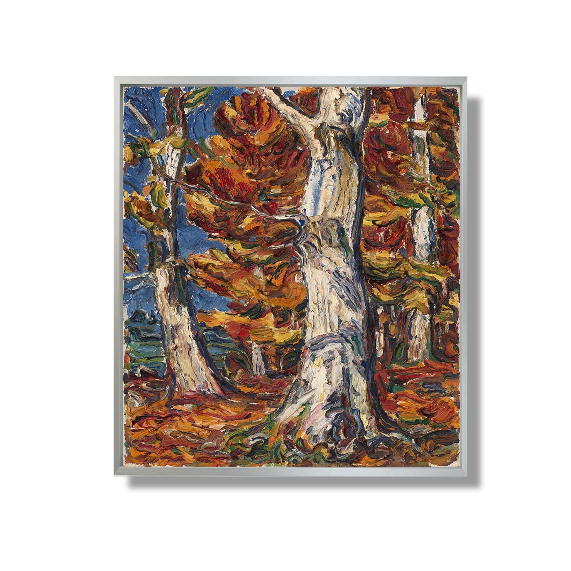 White Beeches in Fall - Christian Rohlfs - Reproduction Peinture