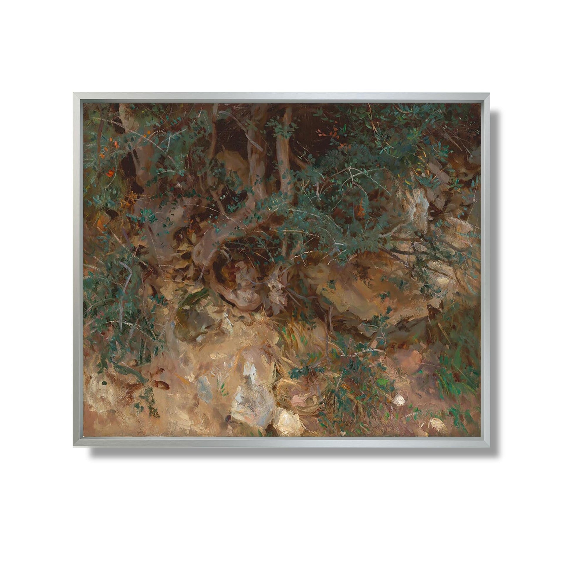 Wild Olive Tree Roots, Valldemosa, Majorca, - John Singer Sargent - Reproduction Peinture